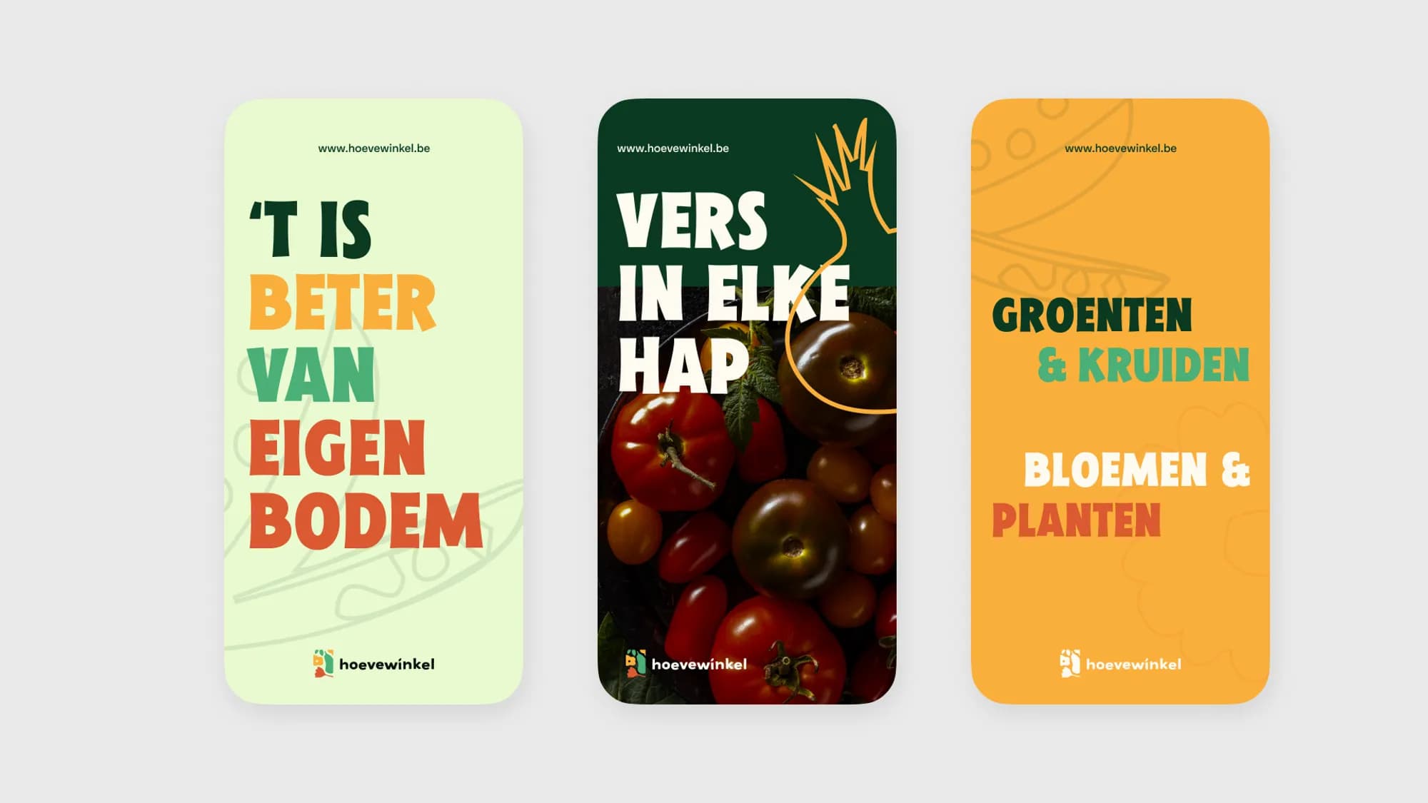 Afbeelding van MOGHI